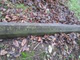 image of grave number 373679